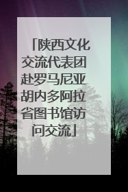 陕西文化交流代表团赴罗马尼亚胡内多阿拉省图书馆访问交流