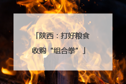 陕西：打好粮食收购“组合拳”
