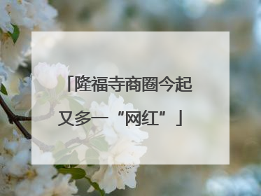 隆福寺商圈今起又多一“网红”