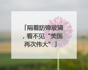 隔着防弹玻璃，看不见“美国再次伟大”