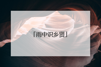 雨中识乡贤