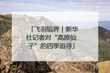 飞羽镜界｜新华社记者对“高原仙子”的四季追寻