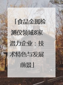 食品金属检测仪领域8家潜力企业：技术特色与发展前景