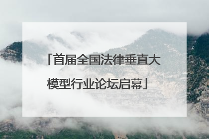 首届全国法律垂直大模型行业论坛启幕