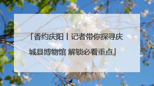 香约庆阳丨记者带你探寻庆城县博物馆 解锁必看重点