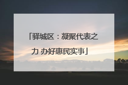 驿城区：凝聚代表之力 办好惠民实事