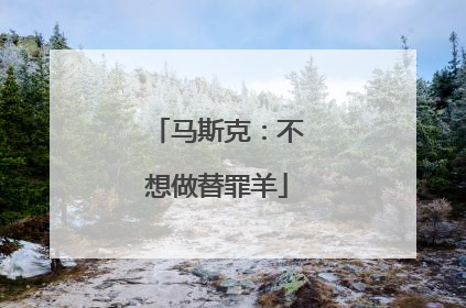 马斯克：不想做替罪羊