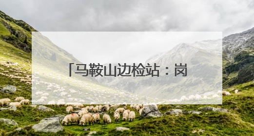 马鞍山边检站：岗位建功绘就青年民警“亮丽警色”