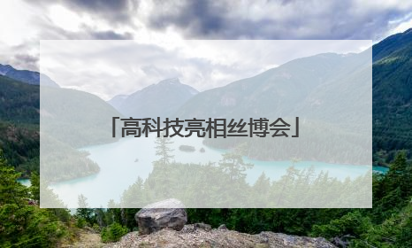 高科技亮相丝博会