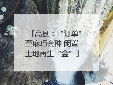 高县：“订单”苎麻巧套种 闲置土地再生“金”