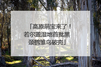 高原萌宝来了！若尔盖湿地首批黑颈鹤雏鸟破壳