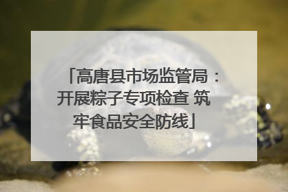 高唐县市场监管局：开展粽子专项检查 筑牢食品安全防线