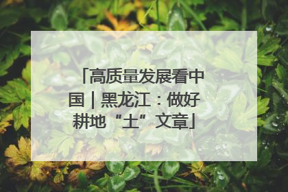 高质量发展看中国｜黑龙江：做好耕地“土”文章