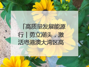 高质量发展能源行｜勇立潮头，激活粤港澳大湾区高质量发展动力源