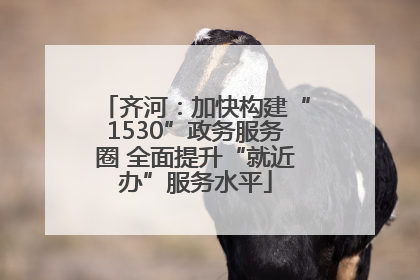 齐河：加快构建“1530”政务服务圈 全面提升“就近办”服务水平