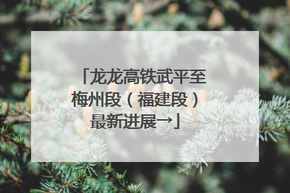 龙龙高铁武平至梅州段（福建段）最新进展→