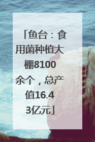 鱼台：食用菌种植大棚8100余个，总产值16.43亿元