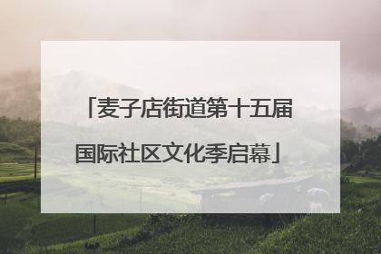 麦子店街道第十五届国际社区文化季启幕