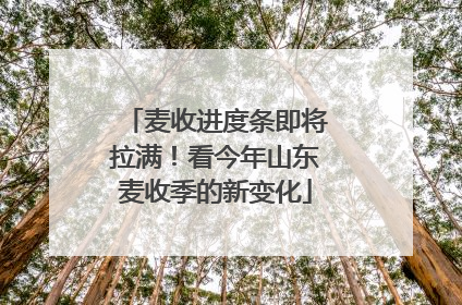 麦收进度条即将拉满！看今年山东麦收季的新变化