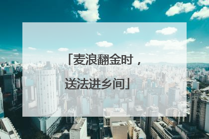 麦浪翻金时，送法进乡间