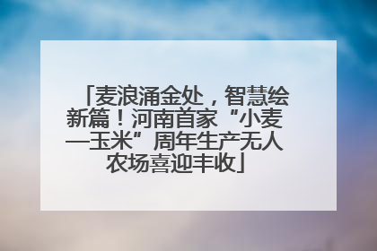 麦浪涌金处，智慧绘新篇！河南首家“小麦—玉米”周年生产无人农场喜迎丰收