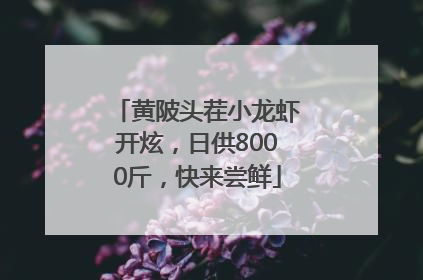 黄陂头茬小龙虾开炫，日供8000斤，快来尝鲜