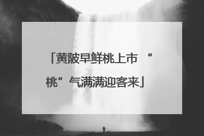 黄陂早鲜桃上市 “桃”气满满迎客来