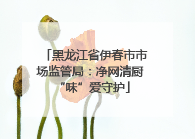 黑龙江省伊春市市场监管局：净网清厨 “味”爱守护
