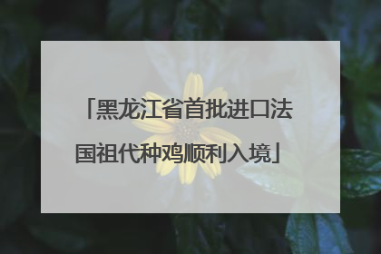 黑龙江省首批进口法国祖代种鸡顺利入境