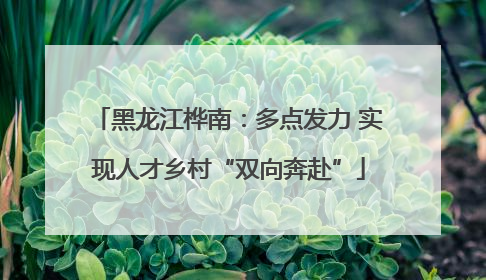 黑龙江桦南：多点发力 实现人才乡村“双向奔赴”