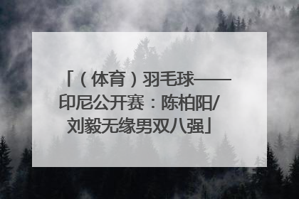（体育）羽毛球——印尼公开赛：陈柏阳/刘毅无缘男双八强