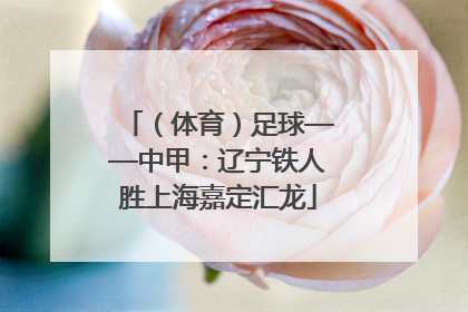 （体育）足球——中甲：辽宁铁人胜上海嘉定汇龙