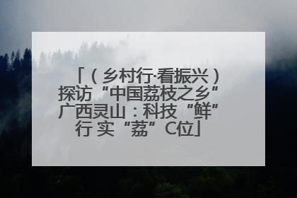 （乡村行·看振兴）探访“中国荔枝之乡”广西灵山：科技“鲜”行 实“荔”C位