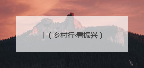 （乡村行·看振兴）新农人绘就共富新图景 浙江庆元统战力量赋能“海拔经济”
