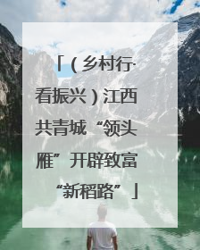 （乡村行·看振兴）江西共青城“领头雁”开辟致富“新稻路”