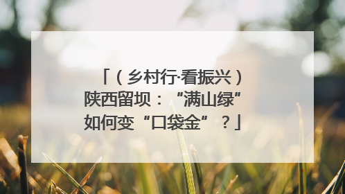 （乡村行·看振兴）陕西留坝：“满山绿”如何变“口袋金”？
