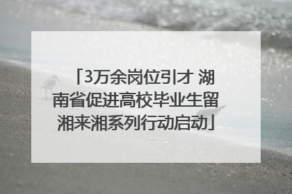 3万余岗位引才 湖南省促进高校毕业生留湘来湘系列行动启动