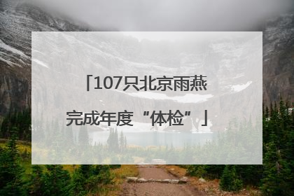 107只北京雨燕完成年度“体检”