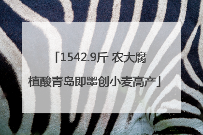 1542.9斤 农大腐植酸青岛即墨创小麦高产