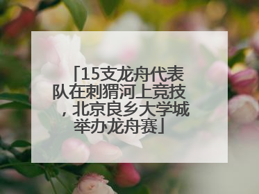15支龙舟代表队在刺猬河上竞技，北京良乡大学城举办龙舟赛