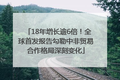18年增长逾6倍！全球首发报告勾勒中非贸易合作格局深刻变化