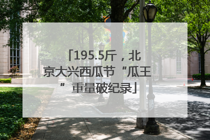 195.5斤，北京大兴西瓜节“瓜王”重量破纪录
