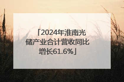 2024年淮南光储产业合计营收同比增长61.6%