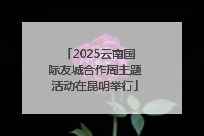 2025云南国际友城合作周主题活动在昆明举行