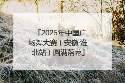 2025年中国广场舞大赛（安徽·淮北站）圆满落幕
