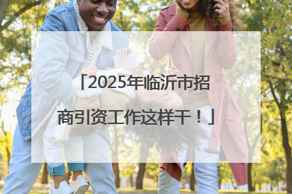 2025年临沂市招商引资工作这样干！