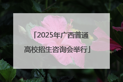 2025年广西普通高校招生咨询会举行