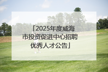 2025年度威海市投资促进中心招聘优秀人才公告
