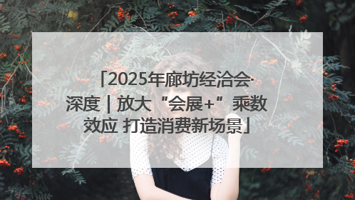 2025年廊坊经洽会·深度｜放大“会展+”乘数效应 打造消费新场景