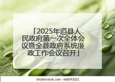 2025年道县人民政府第一次全体会议暨全县政府系统廉政工作会议召开